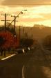 Main Street Robertson NSW
